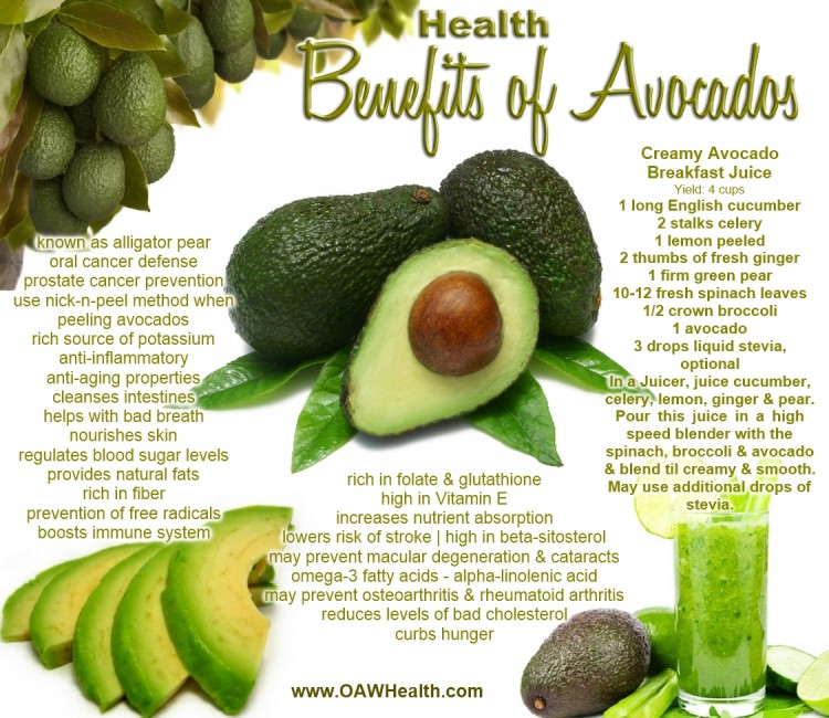 avocados health benefits banner
